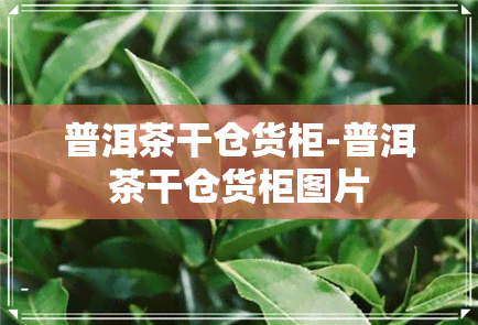 普洱茶干仓货柜-普洱茶干仓货柜图片