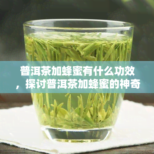 普洱茶加蜂蜜有什么功效，探讨普洱茶加蜂蜜的神奇功效