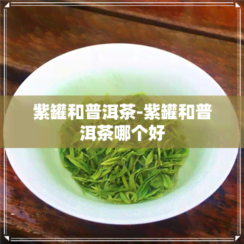 紫罐和普洱茶-紫罐和普洱茶哪个好