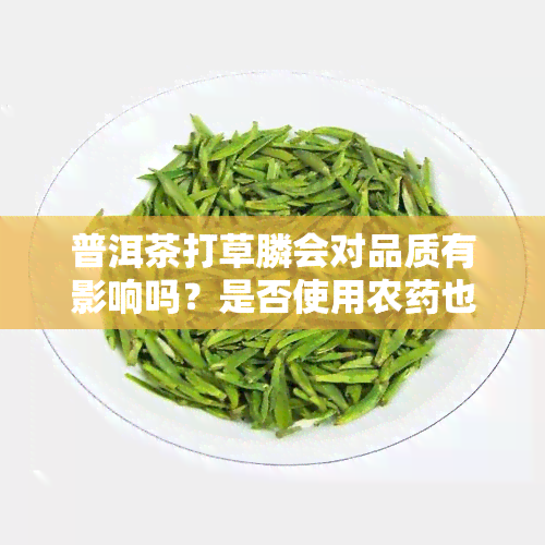 普洱茶打草膦会对品质有影响吗？是否使用农也是关键