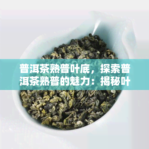 普洱茶熟普叶底，探索普洱茶熟普的魅力：揭秘叶底的秘密