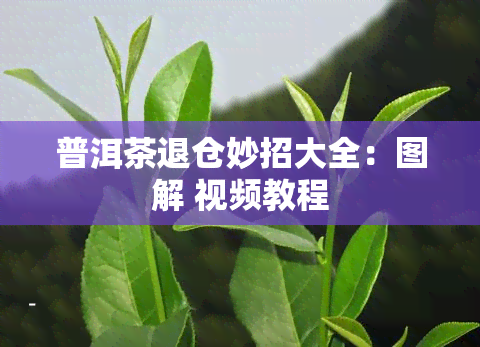 普洱茶退仓妙招大全：图解 视频教程