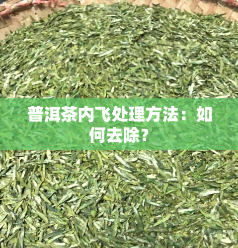 普洱茶内飞处理方法：如何去除？