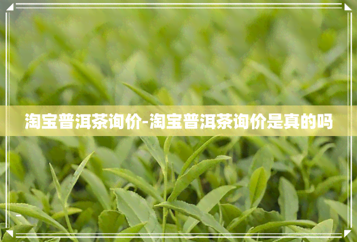 淘宝普洱茶询价-淘宝普洱茶询价是真的吗