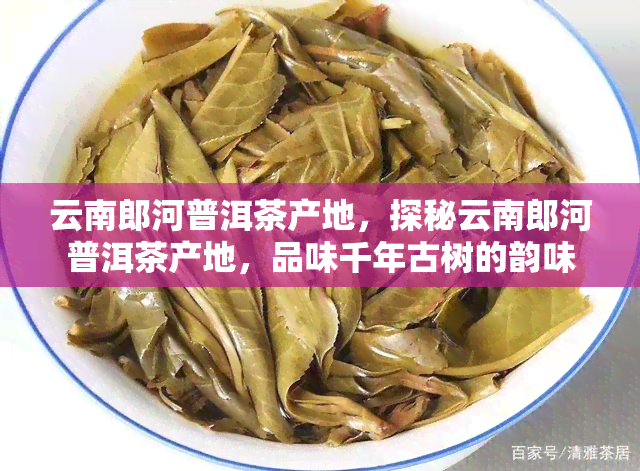 云南郎河普洱茶产地，探秘云南郎河普洱茶产地，品味千年古树的韵味