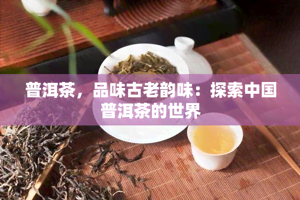 普洱茶，品味古老韵味：探索中国普洱茶的世界