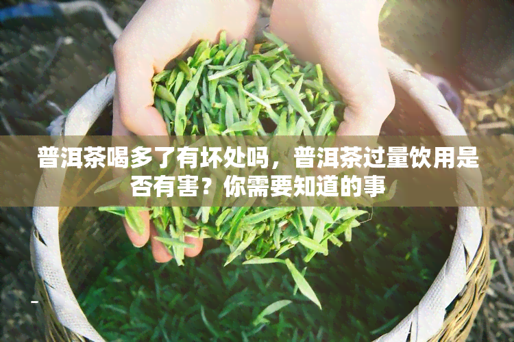 普洱茶喝多了有坏处吗，普洱茶过量饮用是否有害？你需要知道的事