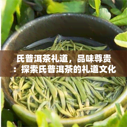 氏普洱茶礼道，品味尊贵：探索氏普洱茶的礼道文化