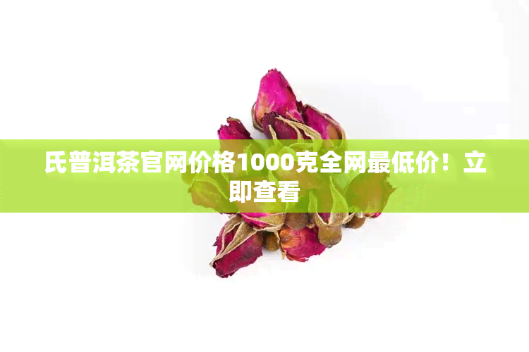 氏普洱茶官网价格1000克全网更低价！立即查看