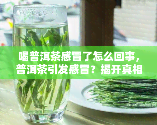 喝普洱茶感冒了怎么回事，普洱茶引发感冒？揭开真相！