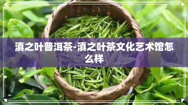 滇之叶普洱茶-滇之叶茶文化艺术馆怎么样