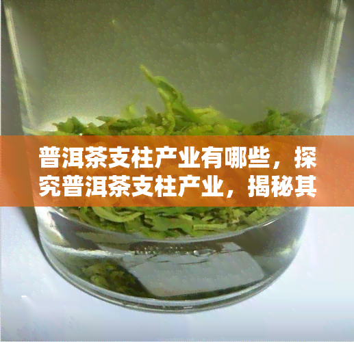 普洱茶支柱产业有哪些，探究普洱茶支柱产业，揭秘其重要性与发展趋势