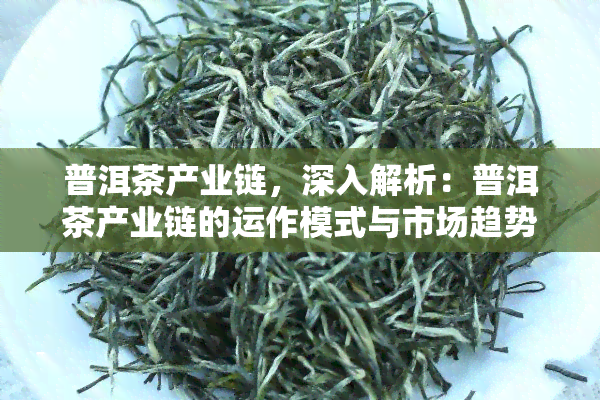 普洱茶产业链，深入解析：普洱茶产业链的运作模式与市场趋势