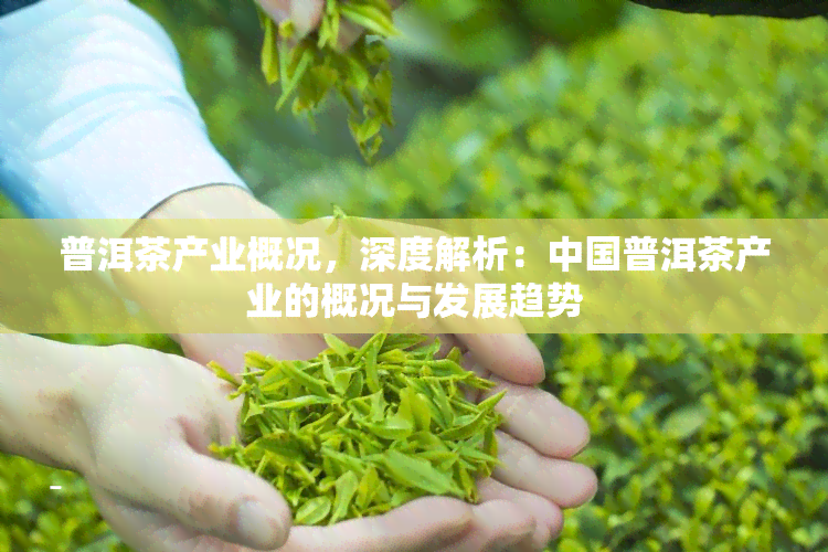 普洱茶产业概况，深度解析：中国普洱茶产业的概况与发展趋势