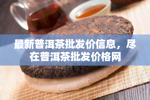 最新普洱茶批发价信息，尽在普洱茶批发价格网