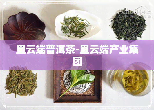 里云端普洱茶-里云端产业集团