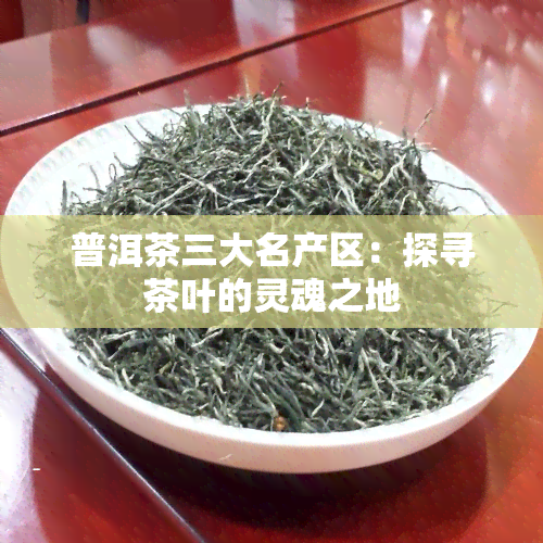 普洱茶三大名产区：探寻茶叶的灵魂之地