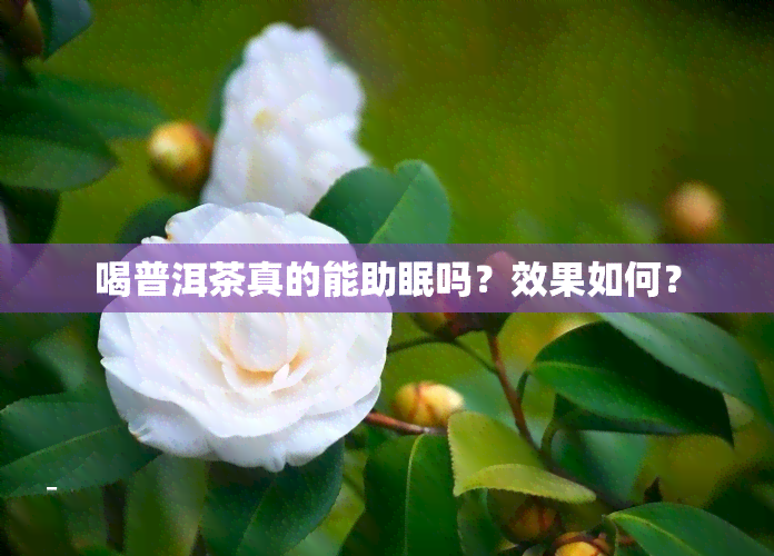 喝普洱茶真的能助眠吗？效果如何？