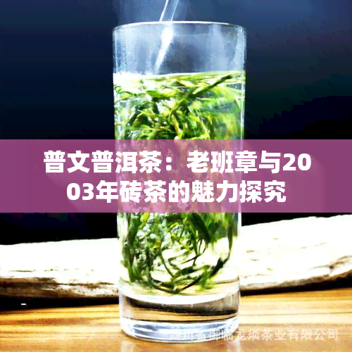 普文普洱茶：老班章与2003年砖茶的魅力探究