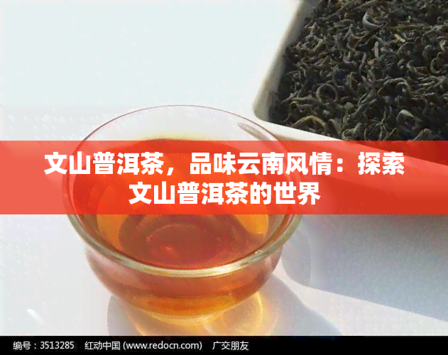 文山普洱茶，品味云南风情：探索文山普洱茶的世界