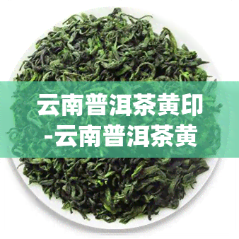 云南普洱茶黄印-云南普洱茶黄印砖茶250g