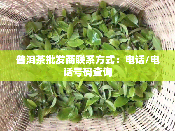 普洱茶批发商联系方式：电话/电话号码查询