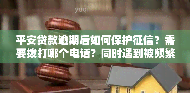 平安贷款逾期后如何保护？需要拨打哪个电话？同时遇到被频繁打扰、联系人泄露等问题应如何投诉？