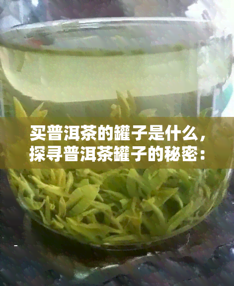 买普洱茶的罐子是什么，探寻普洱茶罐子的秘密：你不知道的选择因素