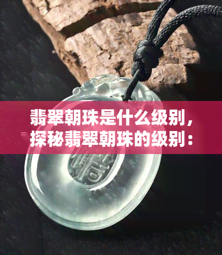 翡翠朝珠是什么级别，探秘翡翠朝珠的级别：珍贵程度与价值解析