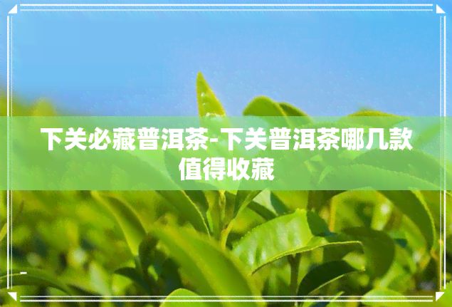 下关必藏普洱茶-下关普洱茶哪几款值得收藏