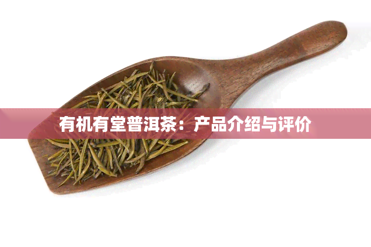 有机有堂普洱茶：产品介绍与评价