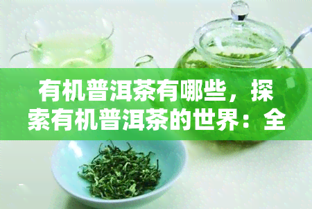 有机普洱茶有哪些，探索有机普洱茶的世界：全面的推荐