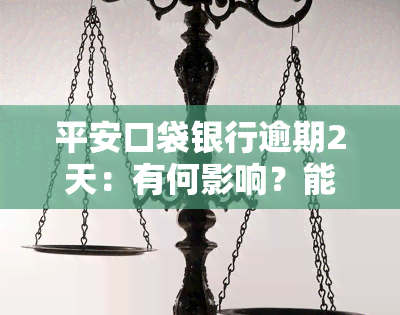 平安口袋银行逾期2天：有何影响？能否继续使用？