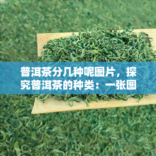 普洱茶分几种呢图片，探究普洱茶的种类：一张图带你了解不同类型的普洱茶