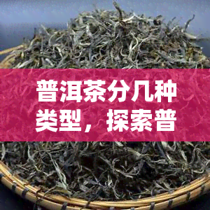 普洱茶分几种类型，探索普洱茶的多样性：了解不同类型的普洱茶