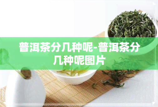 普洱茶分几种呢-普洱茶分几种呢图片