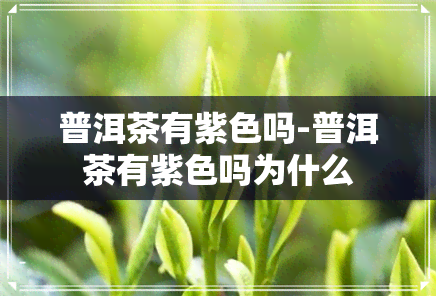 普洱茶有紫色吗-普洱茶有紫色吗为什么