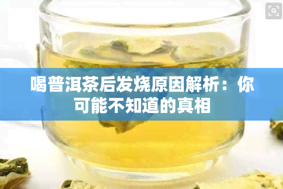 喝普洱茶后发烧原因解析：你可能不知道的真相