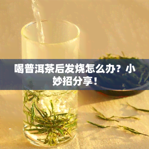 喝普洱茶后发烧怎么办？小妙招分享！