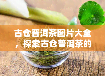 古仓普洱茶图片大全，探索古仓普洱茶的魅力：高清图片大全一览