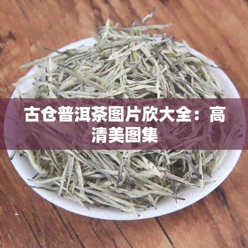 古仓普洱茶图片欣大全：高清美图集