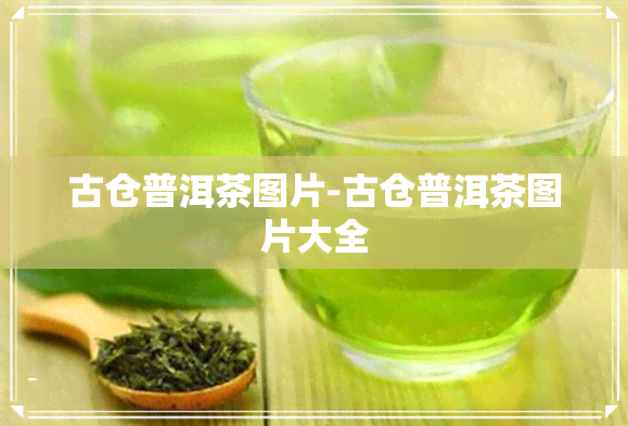 古仓普洱茶图片-古仓普洱茶图片大全