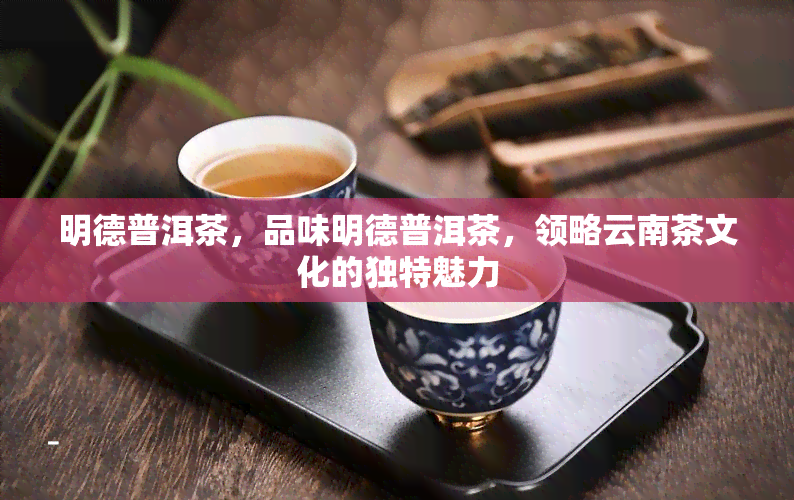 明德普洱茶，品味明德普洱茶，领略云南茶文化的独特魅力