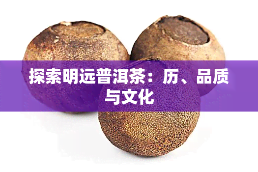 探索明远普洱茶：历、品质与文化