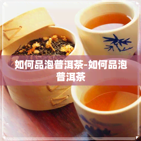 如何品泡普洱茶-如何品泡普洱茶