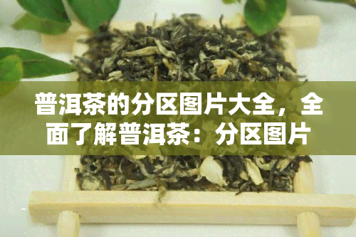 普洱茶的分区图片大全，全面了解普洱茶：分区图片大全