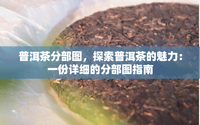 普洱茶分部图，探索普洱茶的魅力：一份详细的分部图指南