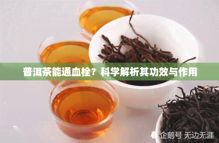 普洱茶能通血栓？科学解析其功效与作用