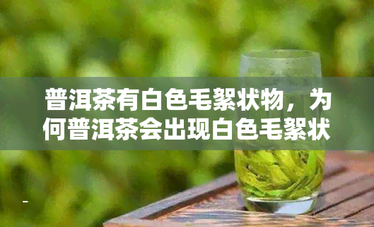 普洱茶有白色毛絮状物，为何普洱茶会出现白色毛絮状物？