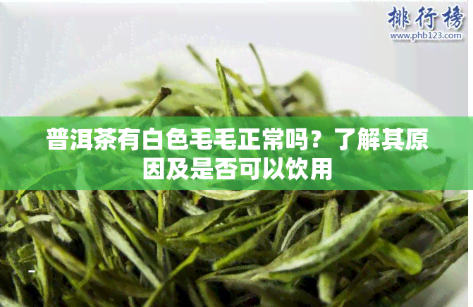 普洱茶有白色毛毛正常吗？了解其原因及是否可以饮用